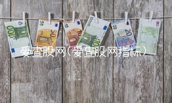 爱查股网(爱查股网指标)