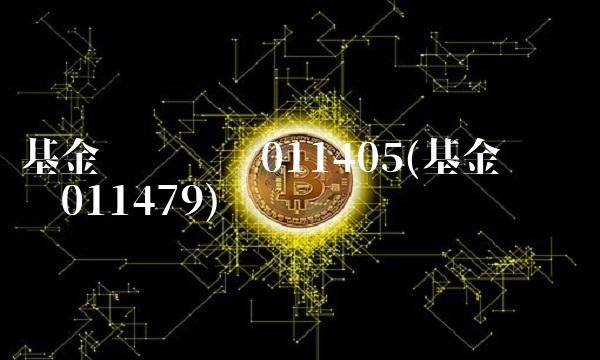 基金净值查询011405(基金净值查询011479)