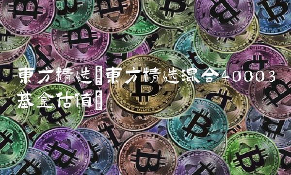 东方精选(东方精选混合40003基金估值)
