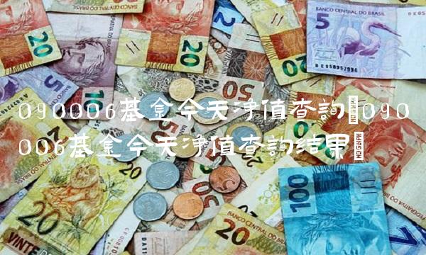 090006基金今天净值查询(090006基金今天净值查询结果)
