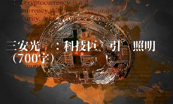 三安光电：科技巨头引领照明产业（700字）