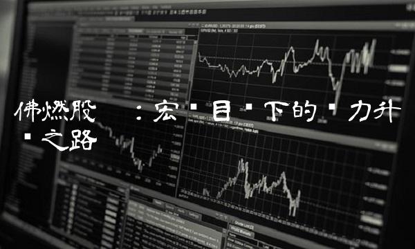 佛燃股份：宏伟目标下的热力升级之路