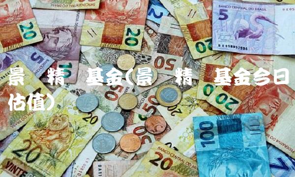 景顺精选基金(景顺精选基金今日估值)