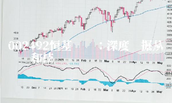 002492恒基达鑫：深度挖掘从业经验和技术优势