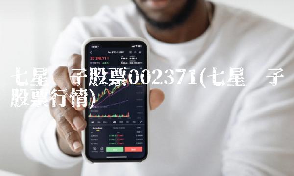 七星电子股票002371(七星电子股票行情)