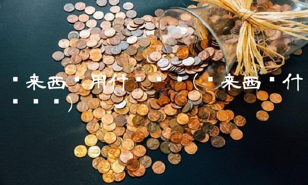 马来西亚用什么货币(马来西亚什么货币)