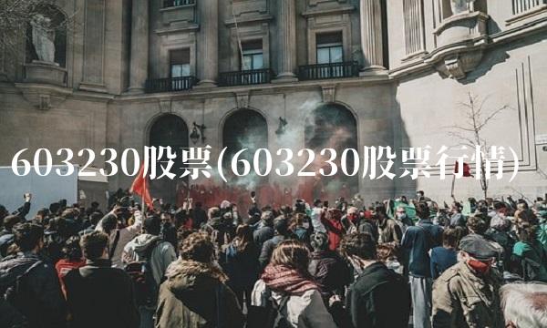 603230股票(603230股票行情)