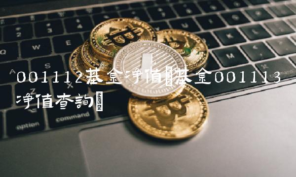 001112基金净值(基金001113净值查询)