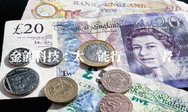 金能科技：太阳能行业领军者