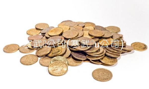 寒武纪公司(寒武纪u公司)