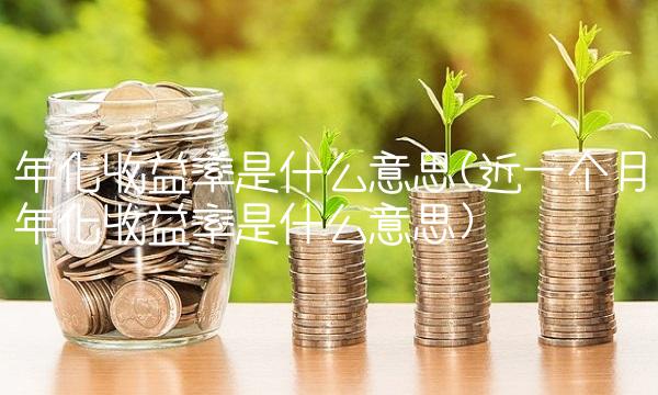 年化收益率是什么意思(近一个月年化收益率是什么意思)