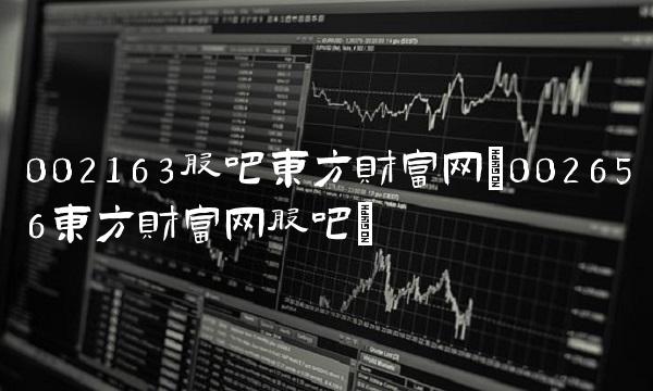 002163股吧东方财富网(002656东方财富网股吧)