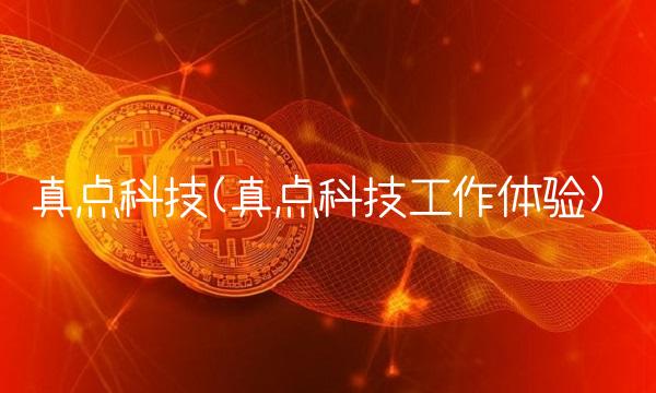 真点科技(真点科技工作体验)