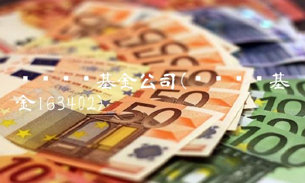 兴业趋势基金公司(兴业趋势基金163402)