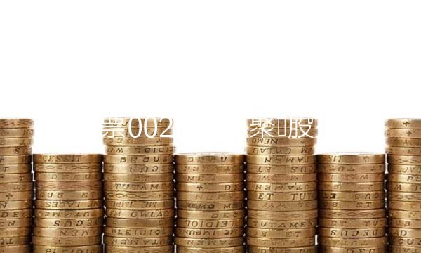 股票002528：聚龙股份