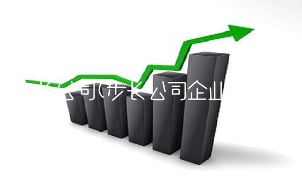 步长公司(步长公司企业文化)