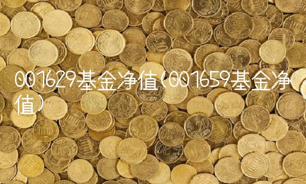001629基金净值(001659基金净值)