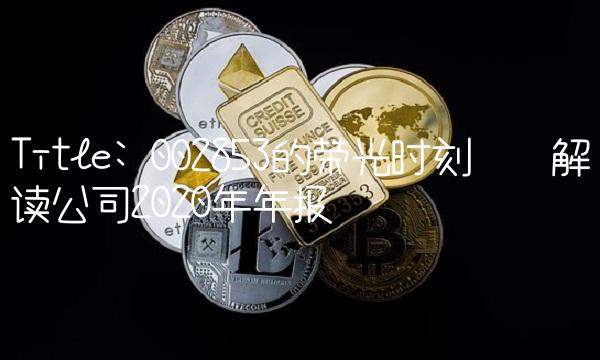 Title 002853的荣光时刻——解读公司2020年年报