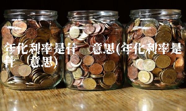 年化利率是什么意思(年化利率是什么意思)