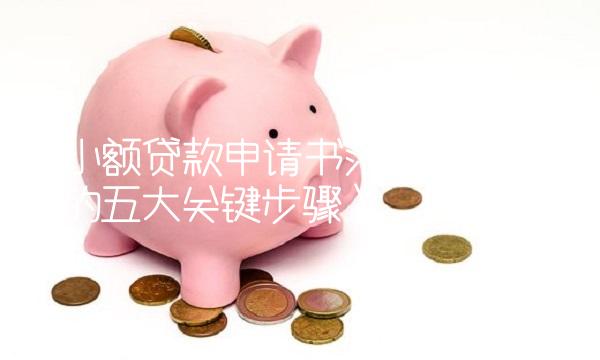 《小额贷款申请书范文：成功申请的五大关键步骤》