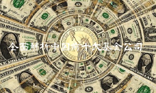 全面解析中国前十大基金公司