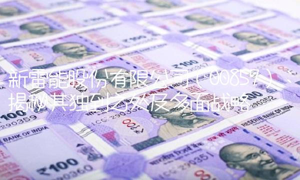 新雷能股份有限公司（00857）：揭秘其独到之处及多面战略