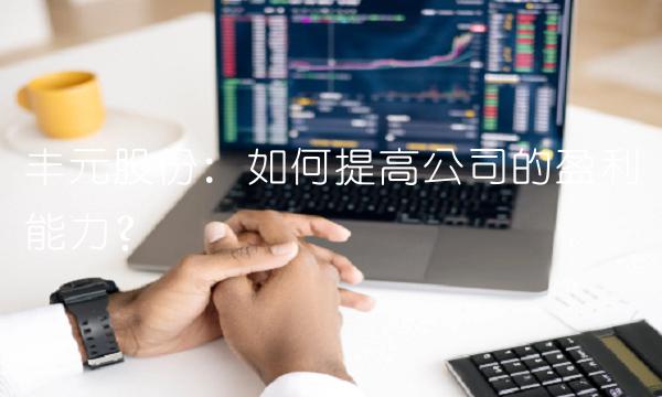 丰元股份：如何提高公司的盈利能力？