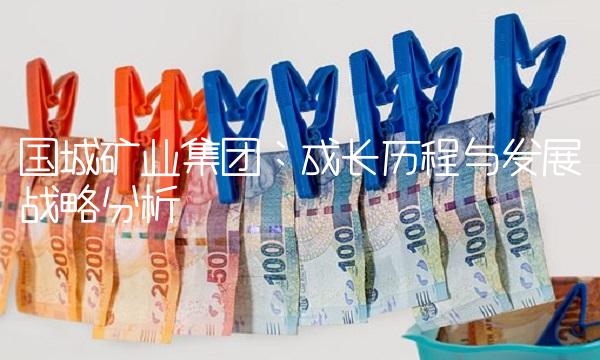 国城矿业集团：成长历程与发展战略分析