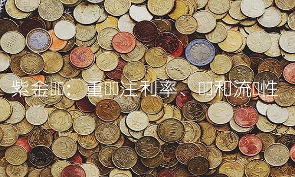 紫金发债：重点关注利率、风险和流动性