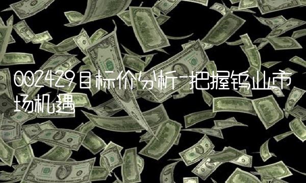 002429目标价分析-把握钨业市场机遇