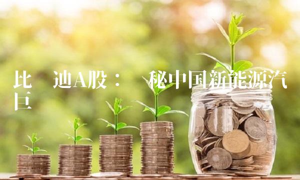 比亚迪A股：揭秘中国新能源汽车巨头