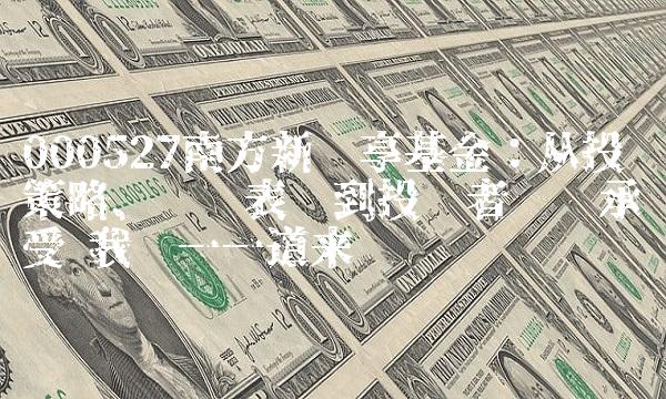 000527南方新优享基金：从投资策略、业绩表现到投资者风险承受 我们一一道来