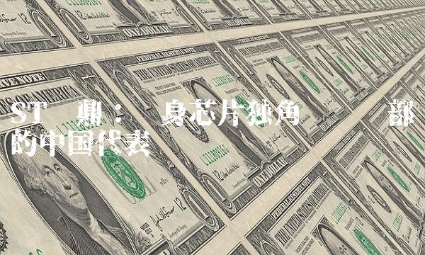 ST华鼎：跻身芯片独角兽俱乐部的中国代表