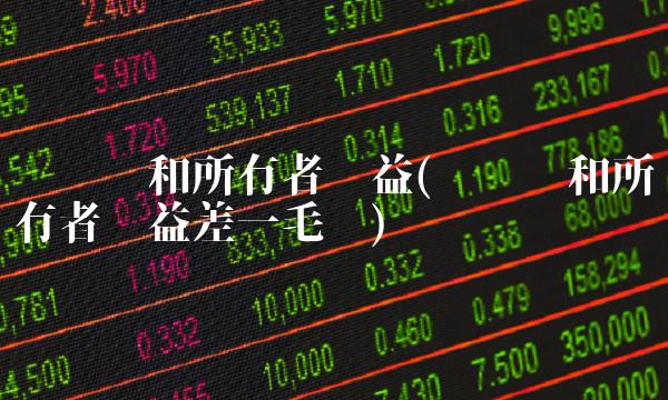 净资产和所有者权益(净资产和所有者权益差一毛钱)