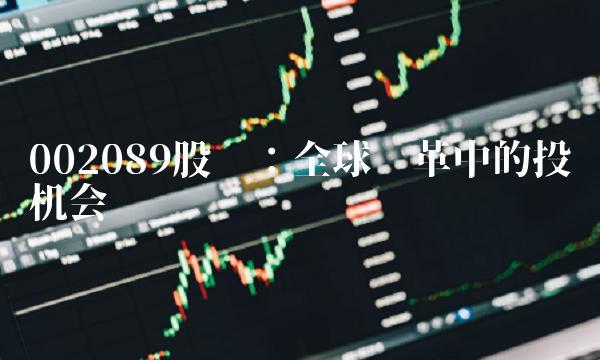 002089股吧：全球变革中的投资机会