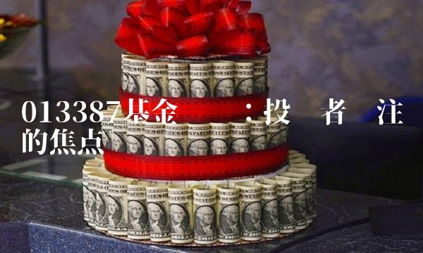 013387基金净值：投资者关注的焦点