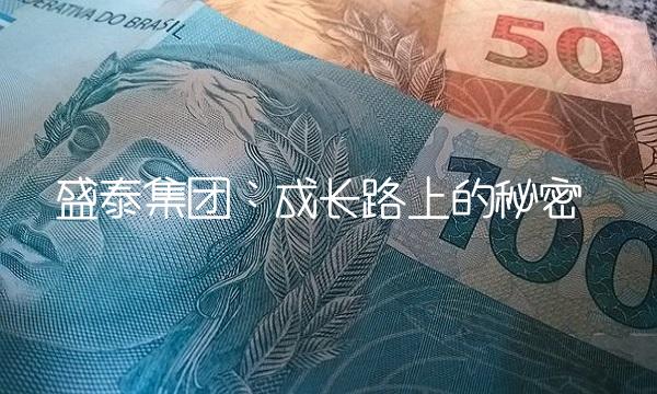 盛泰集团：成长路上的秘密