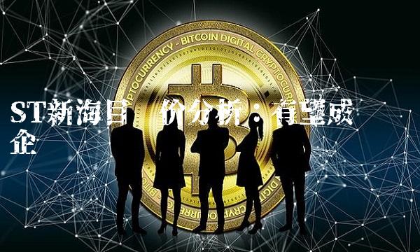 ST新海目标价分析：有望成为龙头企业