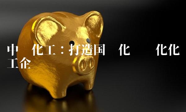 中盐化工：打造国际化专业化化工企业