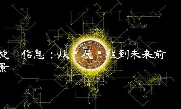 旋极信息：从发展历程到未来前景