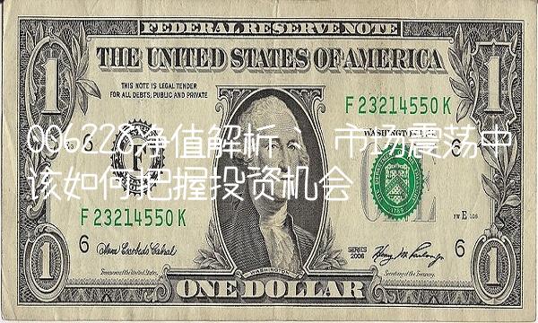 006228净值解析： 市场震荡中该如何把握投资机会