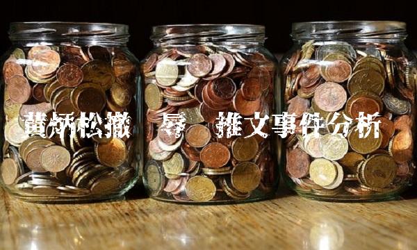 炳松撤销辱华推文事件分析