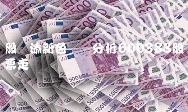 股评添新色——分析600383股票走势