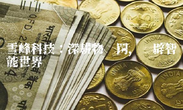 雪峰科技：深耕物联网，开辟智能世界