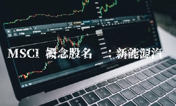 MSCI 概念股名单：新能源汽车
