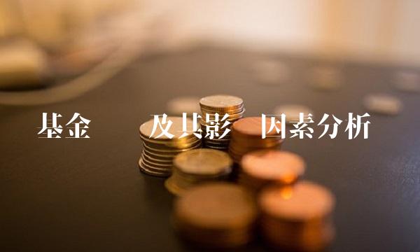 基金净值及其影响因素分析