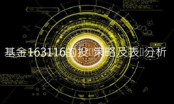 基金163116的投资策略及表现分析