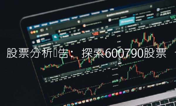 股票分析报告：探索600790股票