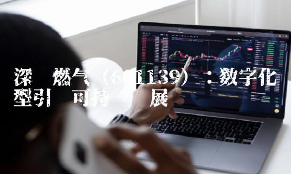 深圳燃气（601139）：数字化转型引领可持续发展