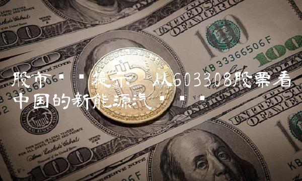 股市风险提示——从603308股票看中国的新能源汽车产业